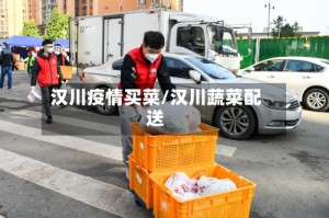 汉川疫情买菜/汉川蔬菜配送