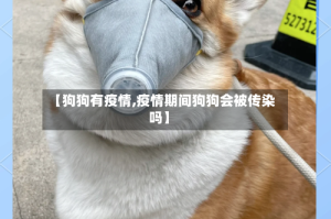 【狗狗有疫情,疫情期间狗狗会被传染吗】