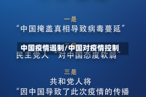 中国疫情遏制/中国对疫情控制