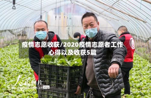 疫情志愿收获/2020疫情志愿者工作心得以及收获5篇-第2张图片