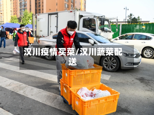 汉川疫情买菜/汉川蔬菜配送-第1张图片