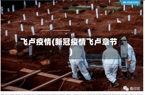 飞卢疫情(新冠疫情飞卢章节)-第1张图片