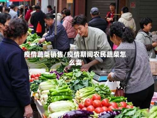 疫情蔬菜销售/疫情期间农民蔬菜怎么卖-第2张图片